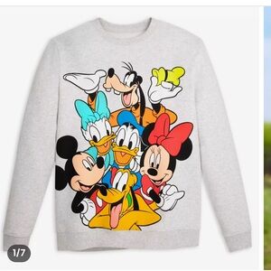 Disney Gray Sweatshirt with Colorful Characters